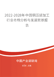 2022-2028年钢压延加工行业市场分析与发展前景报告