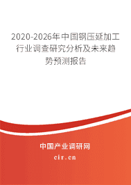 2020年钢压延加工市场分析报告